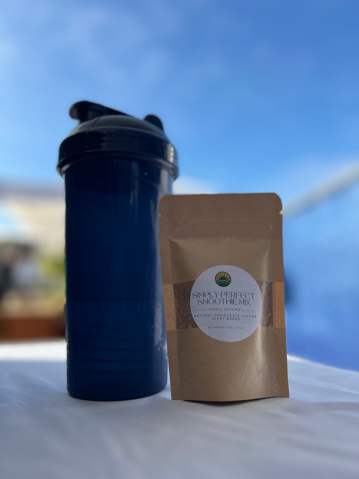 Protein Smoothie (3 Single Serve Mixes)